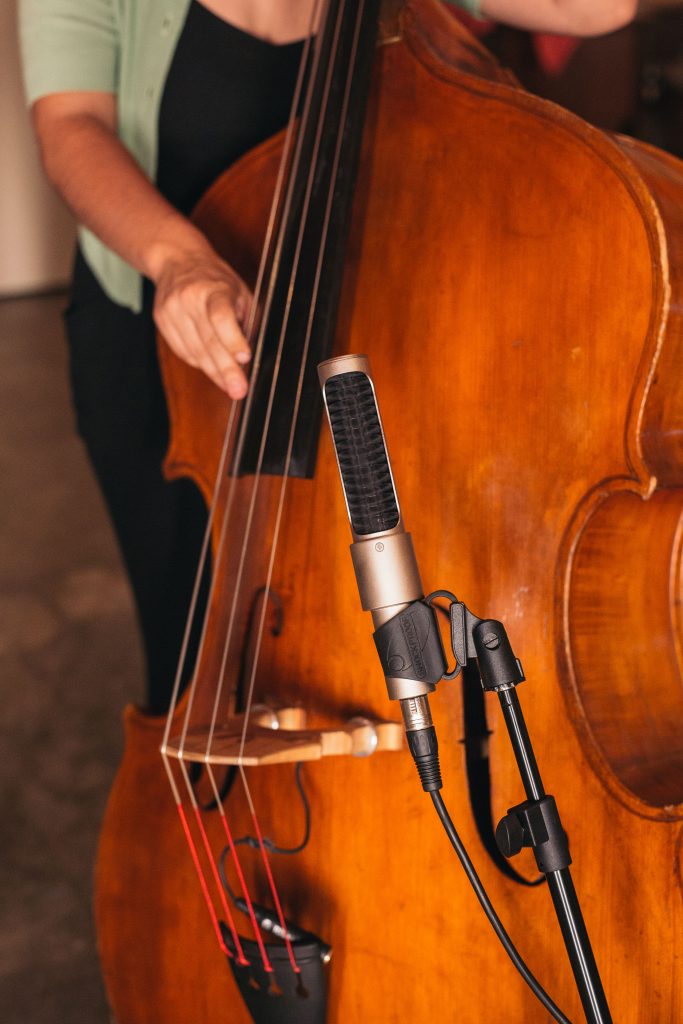 N22-Upright-Bass