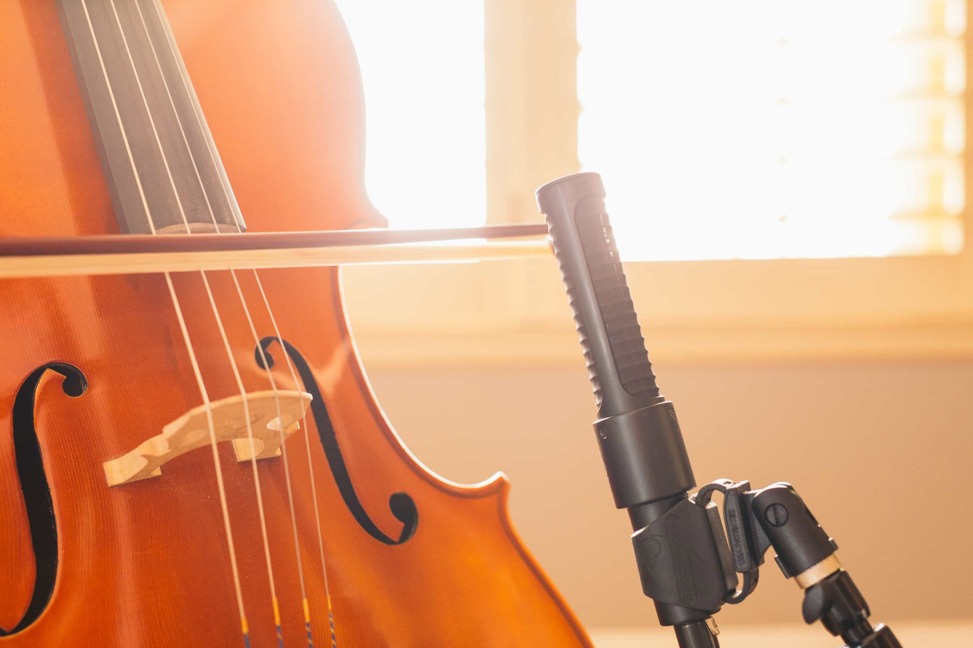 How To Record Cello With the N8 artist portrait