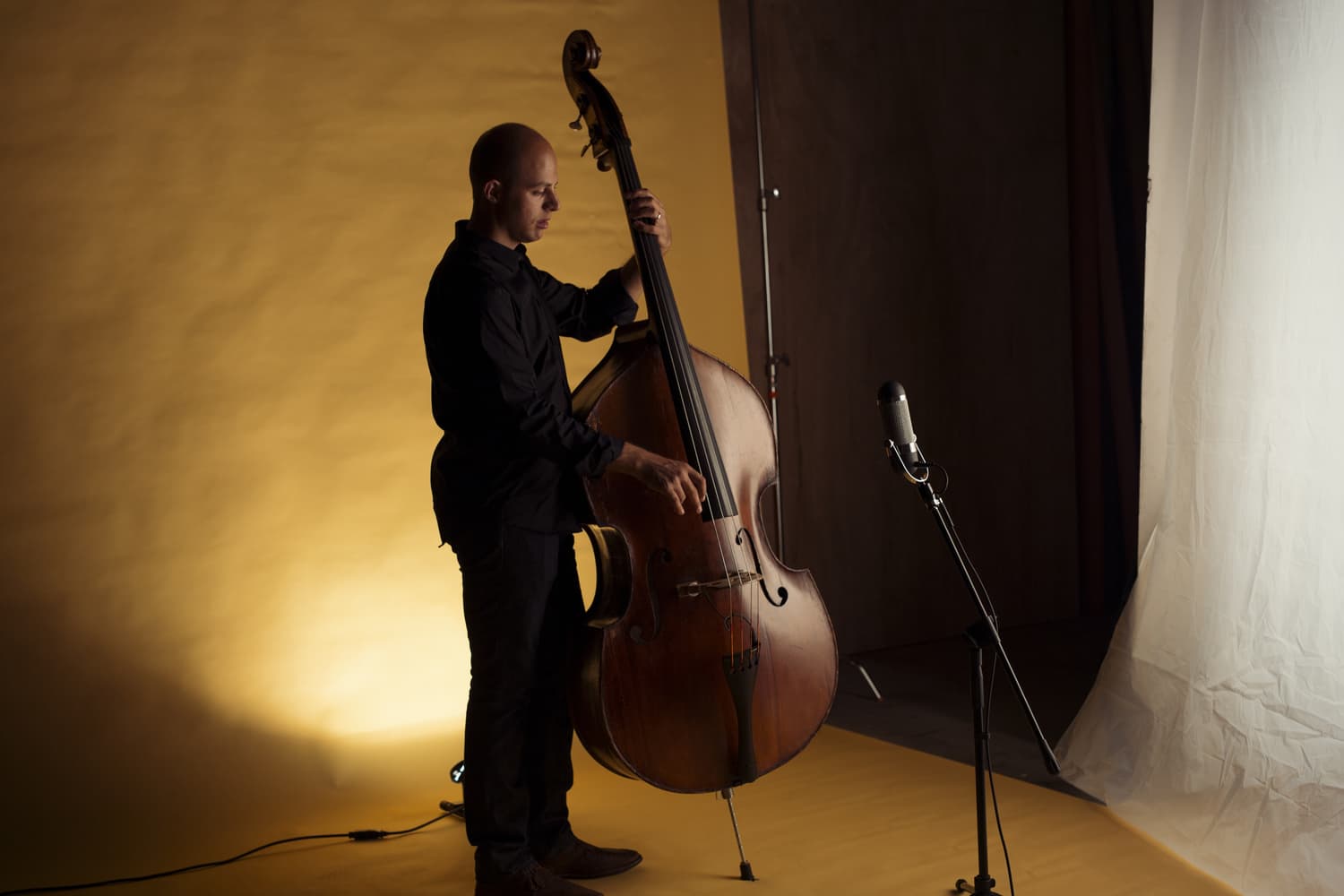 AEA-Sessions-Dave-Robaire-Gardenia-Double-Bass-2
