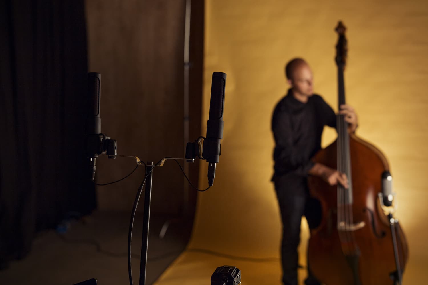 AEA-Sessions-Dave-Robaire-Gardenia-Double-Bass-3