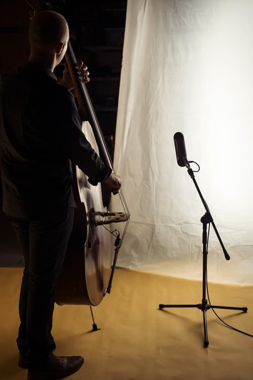AEA-Sessions-Dave-Robaire-Gardenia-Double-Bass
