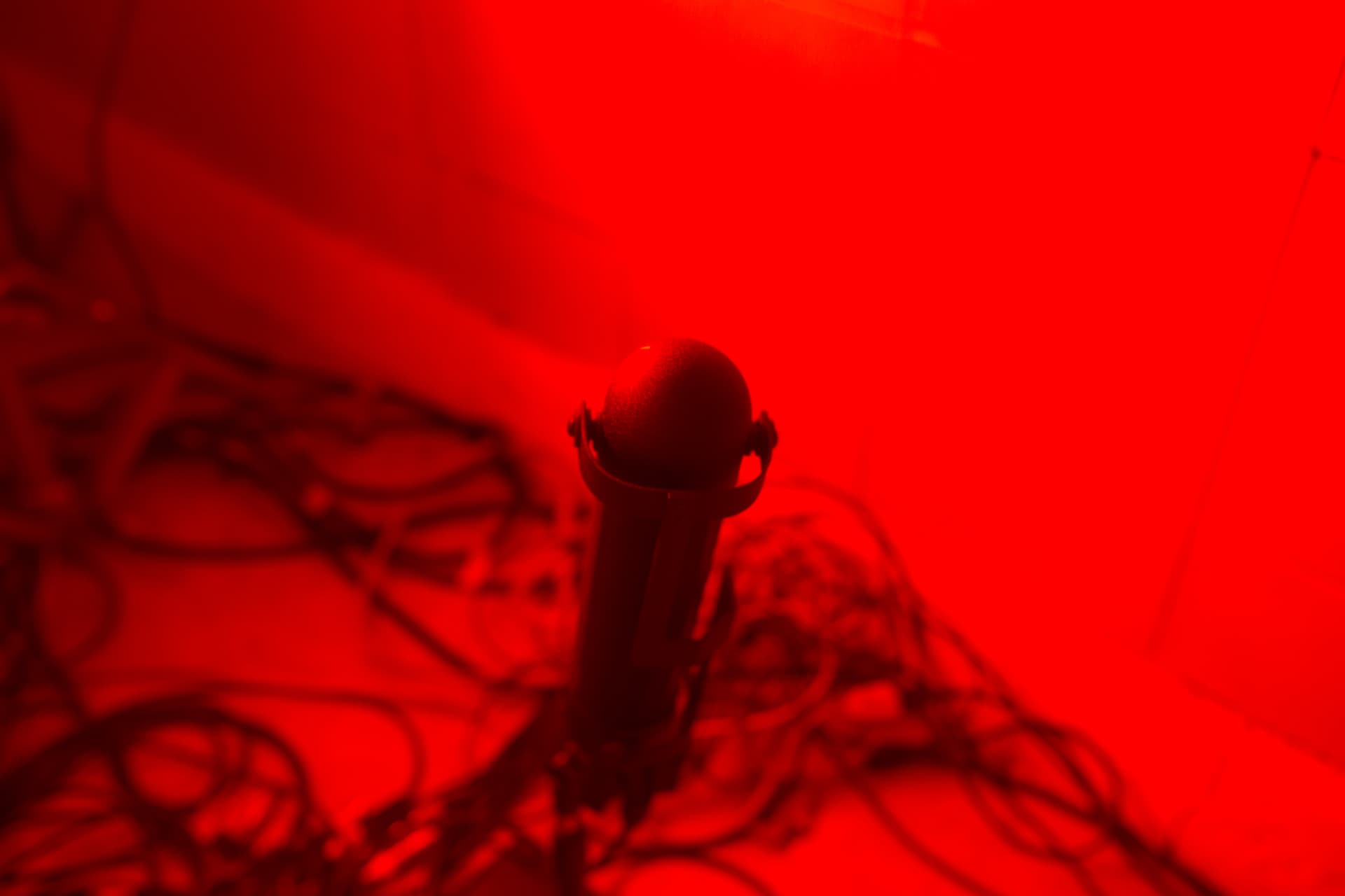 AEA-Sessions-Sara-Gazarak-R84-6