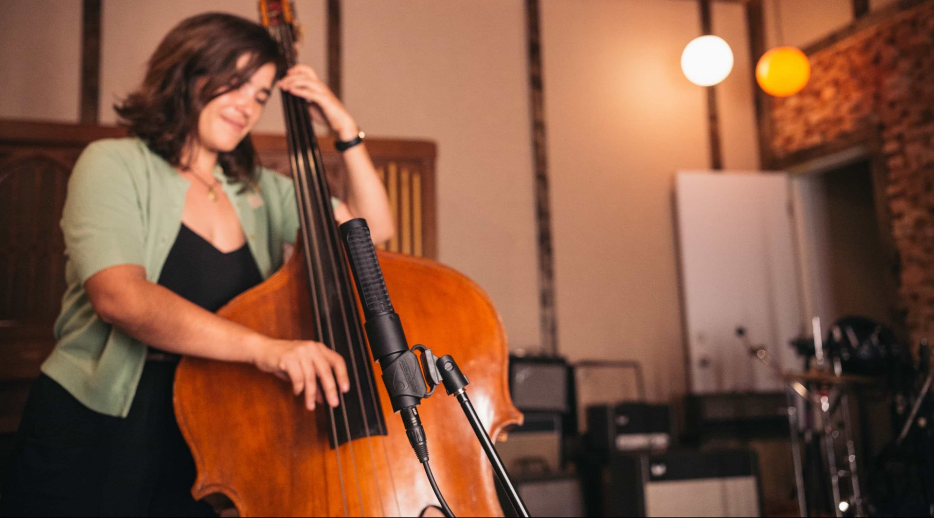 How To Record Double Bass With the N8 artist portrait