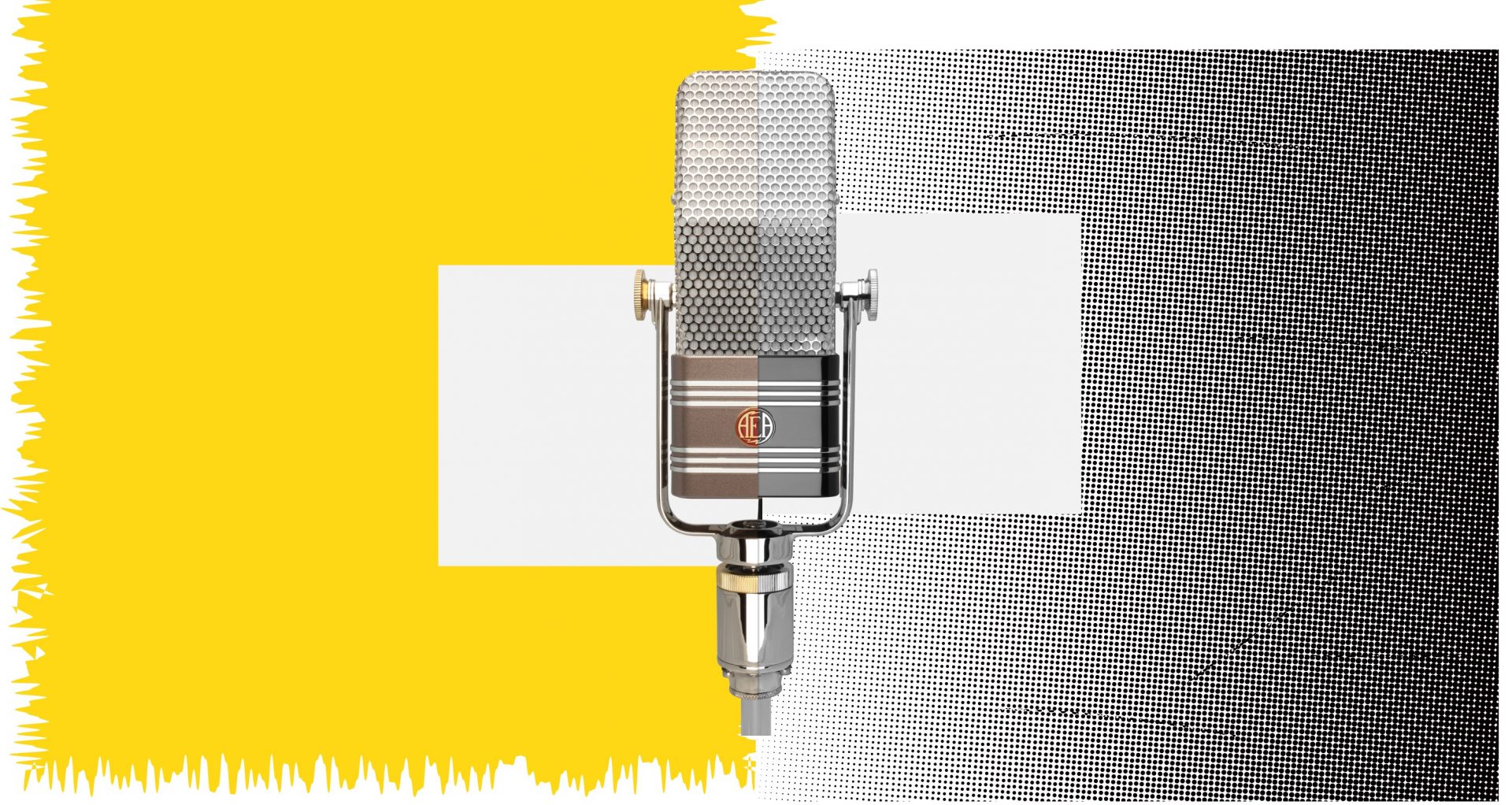 R44C vs A440: What’s the Difference? artist portrait