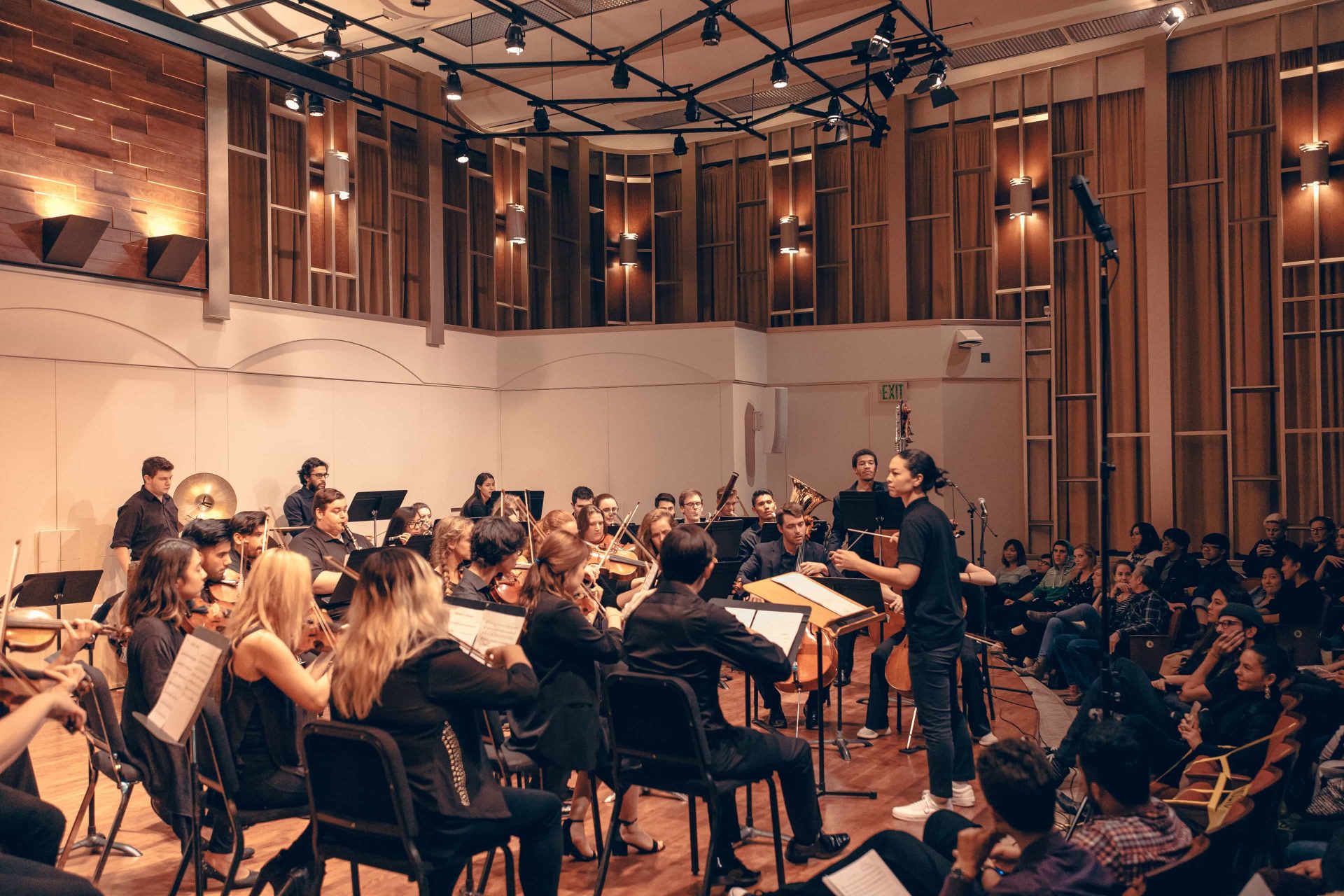 How To Record Cello With the R88 artist portrait