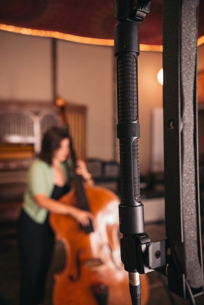 N8-Blumlein-Double-Bass-Room-Portrait