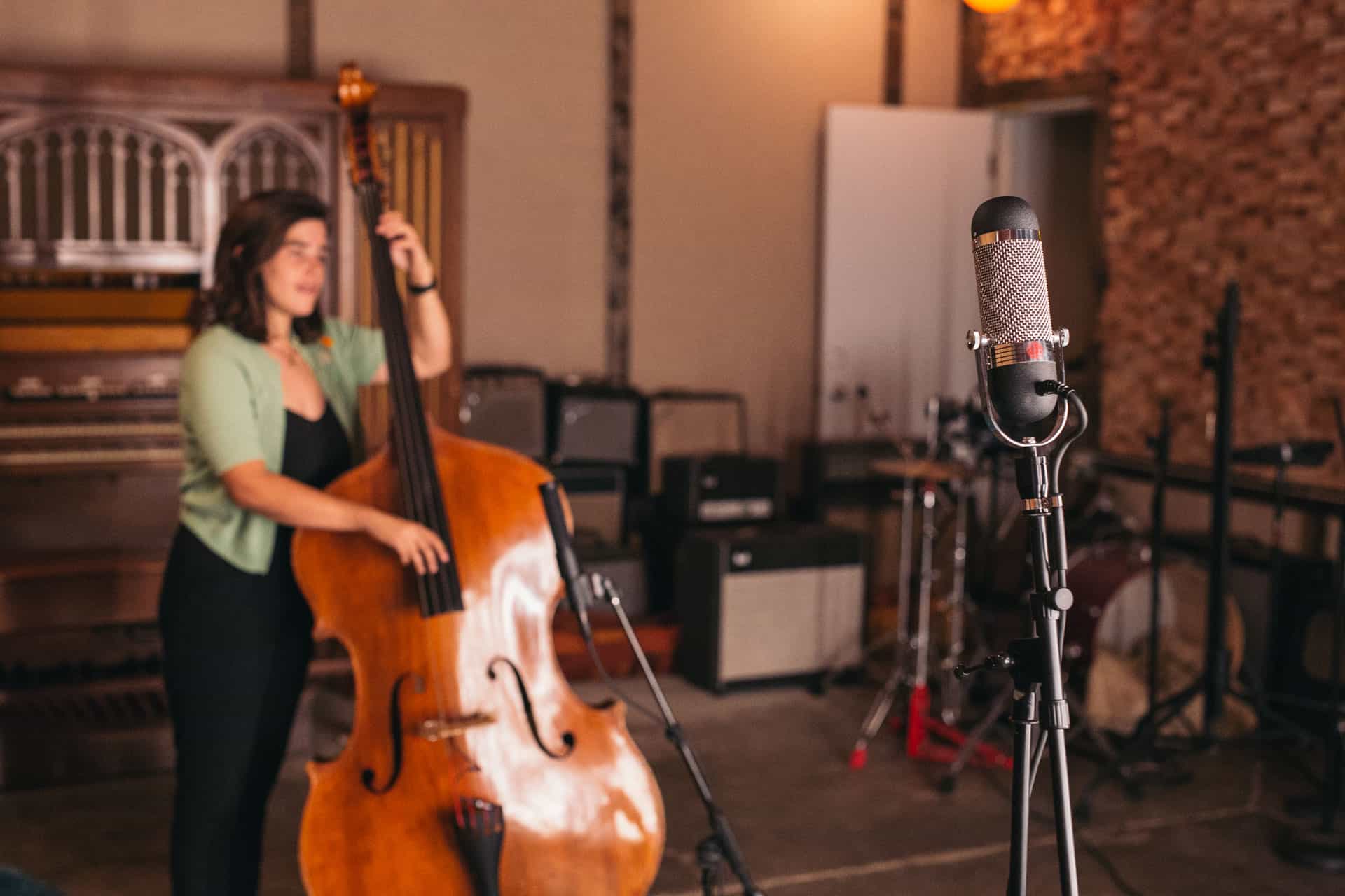 How To Record Double Bass With the R84 artist portrait